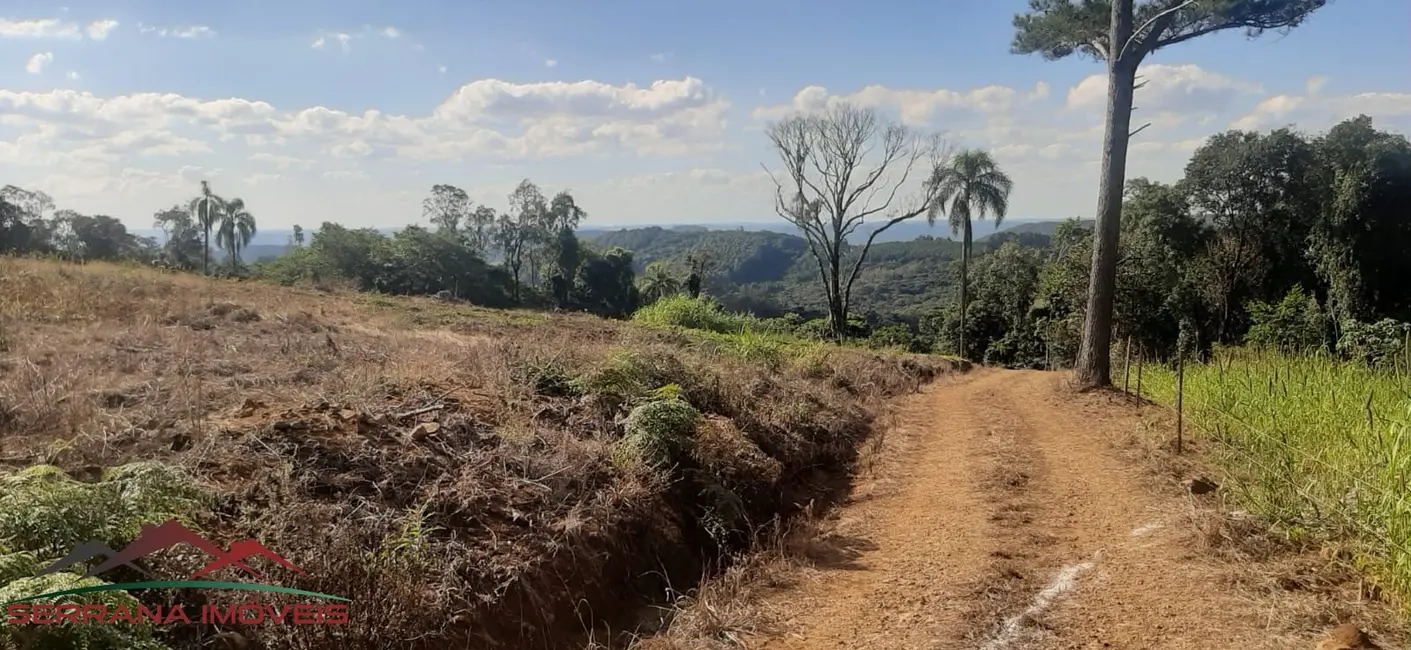 Terreno / Lote à venda, 20000m2 em Nova Petropolis - RS - imagem 7 Foto 7 de Terreno / Lote à venda, 20000m2 em Nova Petropolis - RS