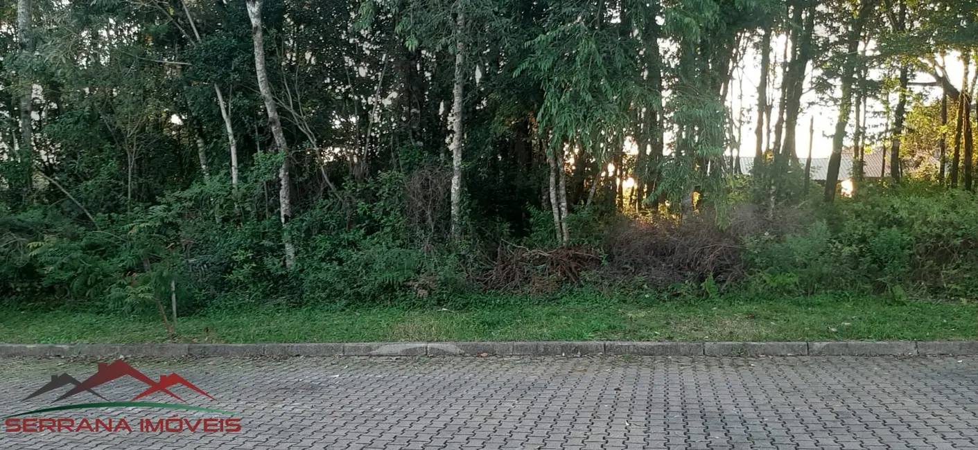 Terreno / Lote à venda, 370m2 em Nova Petropolis - RS - imagem 6 Foto 6 de Terreno / Lote à venda, 370m2 em Nova Petropolis - RS