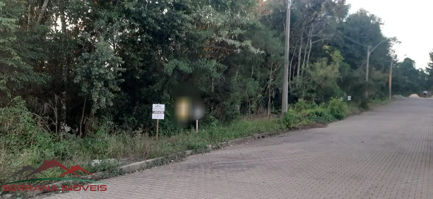 Foto 3 de Terreno / Lote à venda, 351m2 em Nova Petropolis - RS