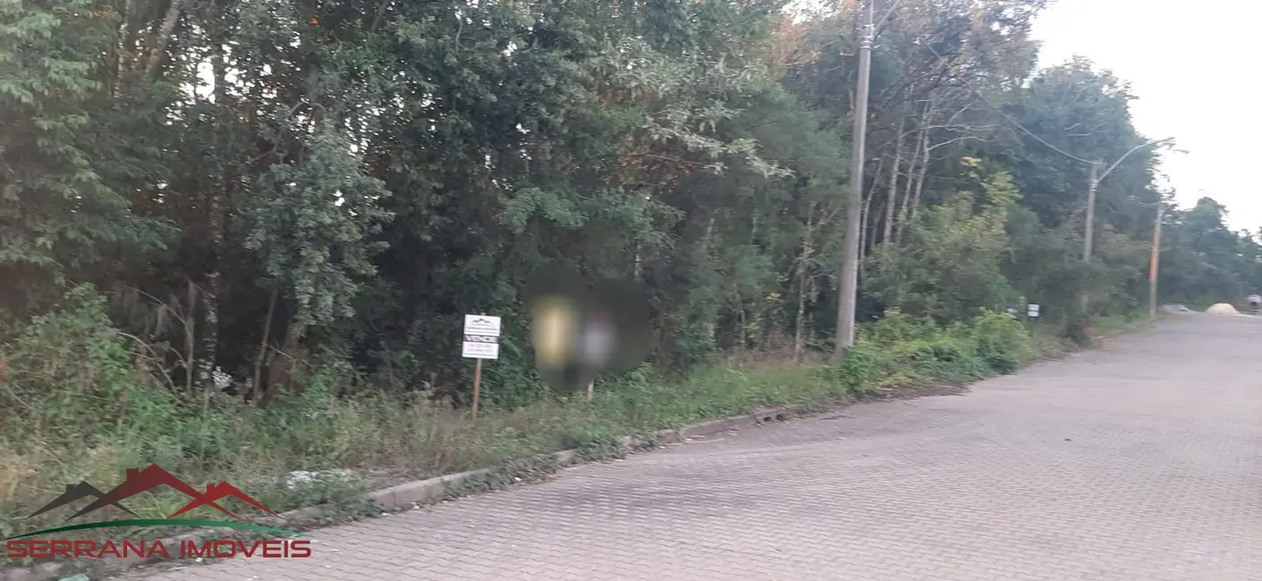Foto 2 de Terreno / Lote à venda, 351m2 em Nova Petropolis - RS