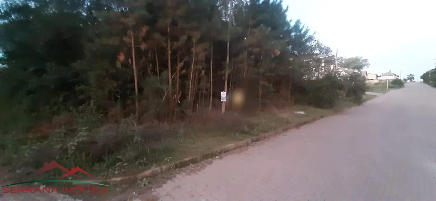 Foto 6 de Terreno / Lote à venda, 386m2 em Nova Petropolis - RS