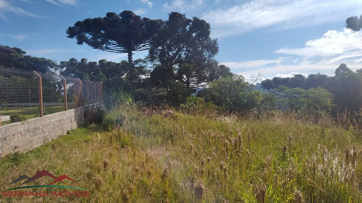 Terreno / Lote à venda, 550m2 em Nova Petropolis - RS - imagem 3 Foto 3 de Terreno / Lote à venda, 550m2 em Nova Petropolis - RS