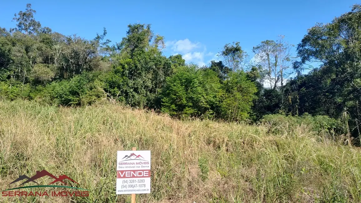 Terreno / Lote à venda, 360m2 em Picada Cafe - RS - imagem 7 Foto 7 de Terreno / Lote à venda, 360m2 em Picada Cafe - RS