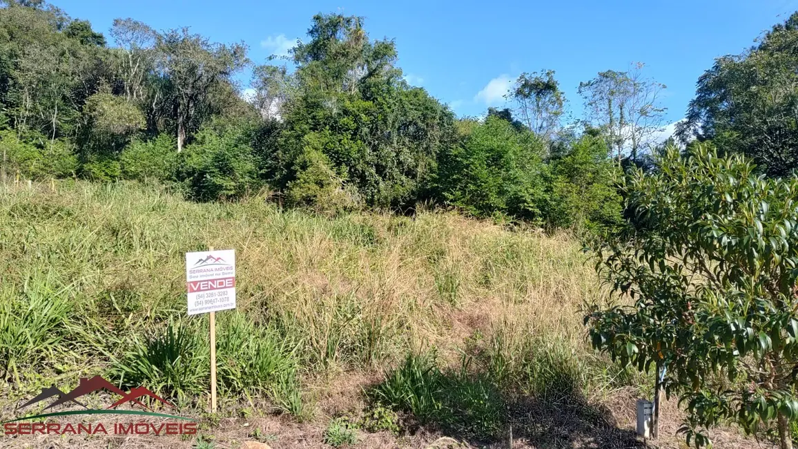 Terreno / Lote à venda, 360m2 em Picada Cafe - RS - imagem 1 Foto 1 de Terreno / Lote à venda, 360m2 em Picada Cafe - RS