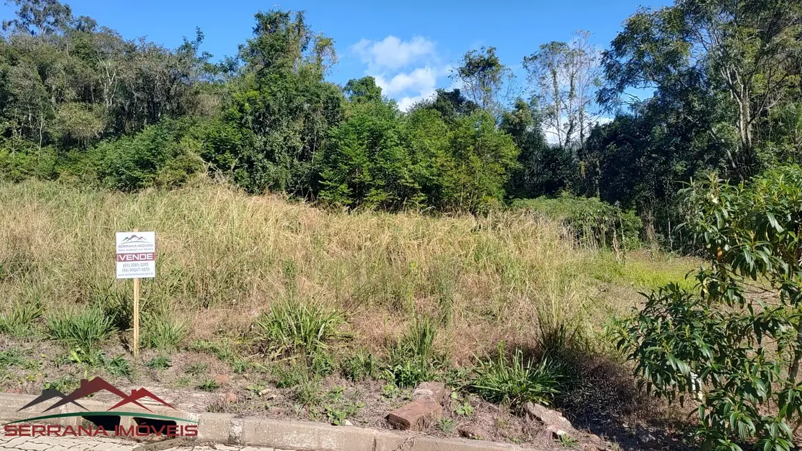 Terreno / Lote à venda, 360m2 em Picada Cafe - RS - imagem 8 Foto 8 de Terreno / Lote à venda, 360m2 em Picada Cafe - RS