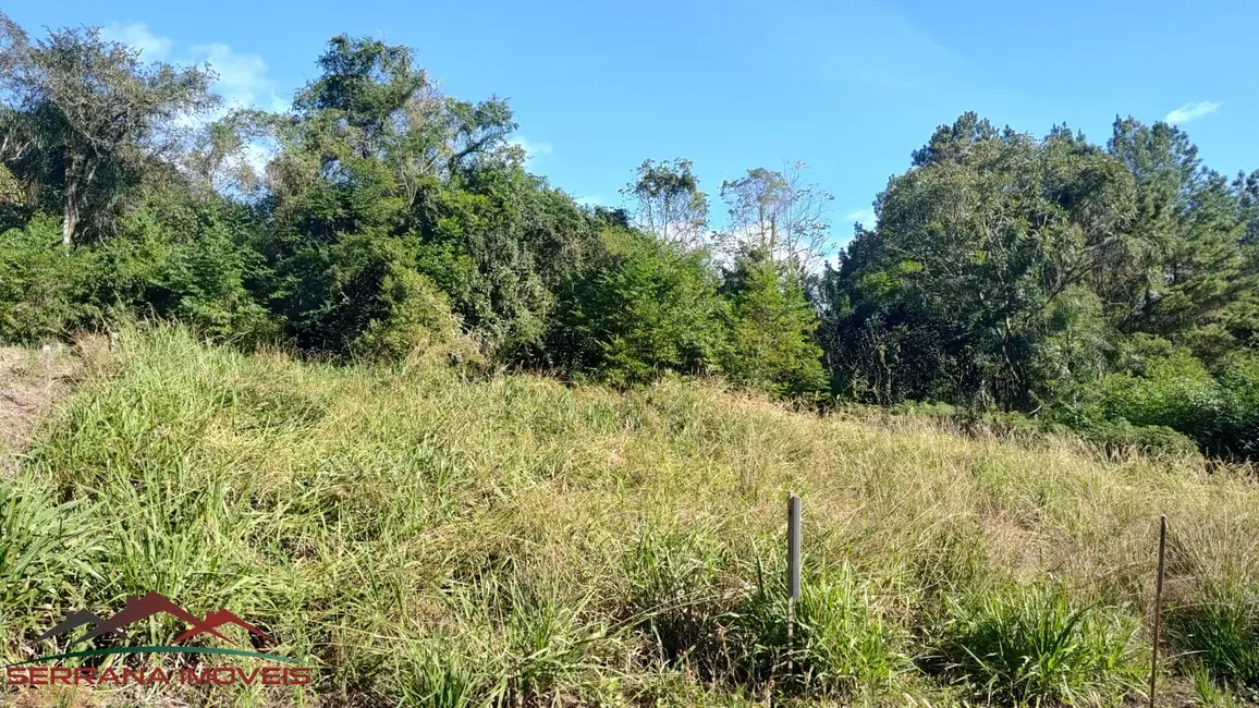 Terreno / Lote à venda, 360m2 em Picada Cafe - RS - imagem 3 Foto 3 de Terreno / Lote à venda, 360m2 em Picada Cafe - RS