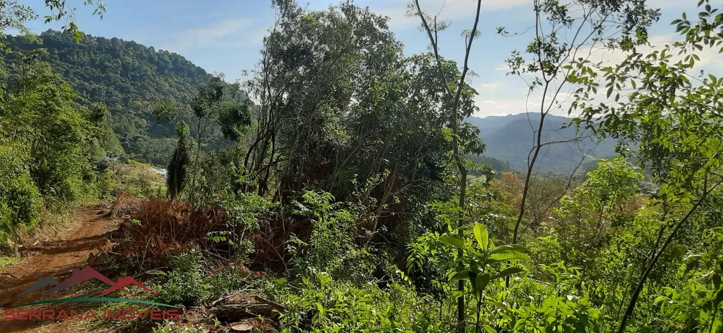 Terreno / Lote à venda, 61000m2 em Picada Cafe - RS - imagem 9 Foto 9 de Terreno / Lote à venda, 61000m2 em Picada Cafe - RS