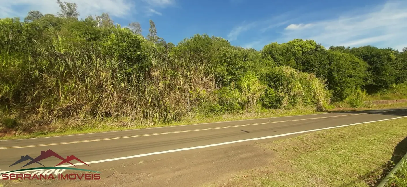 Terreno / Lote à venda, 61000m2 em Picada Cafe - RS - imagem 3 Foto 3 de Terreno / Lote à venda, 61000m2 em Picada Cafe - RS