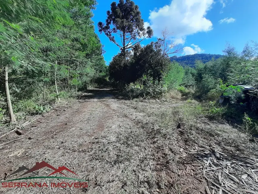Terreno / Lote à venda, 100000m2 em Nova Petropolis - RS - imagem 9 Foto 9 de Terreno / Lote à venda, 100000m2 em Nova Petropolis - RS