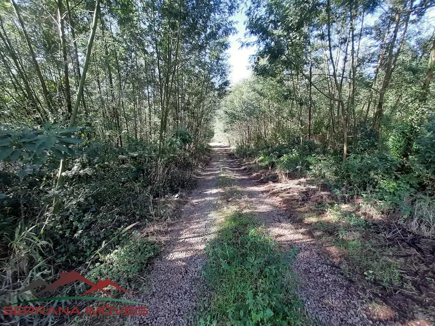 Terreno / Lote à venda, 100000m2 em Nova Petropolis - RS - imagem 6 Foto 6 de Terreno / Lote à venda, 100000m2 em Nova Petropolis - RS