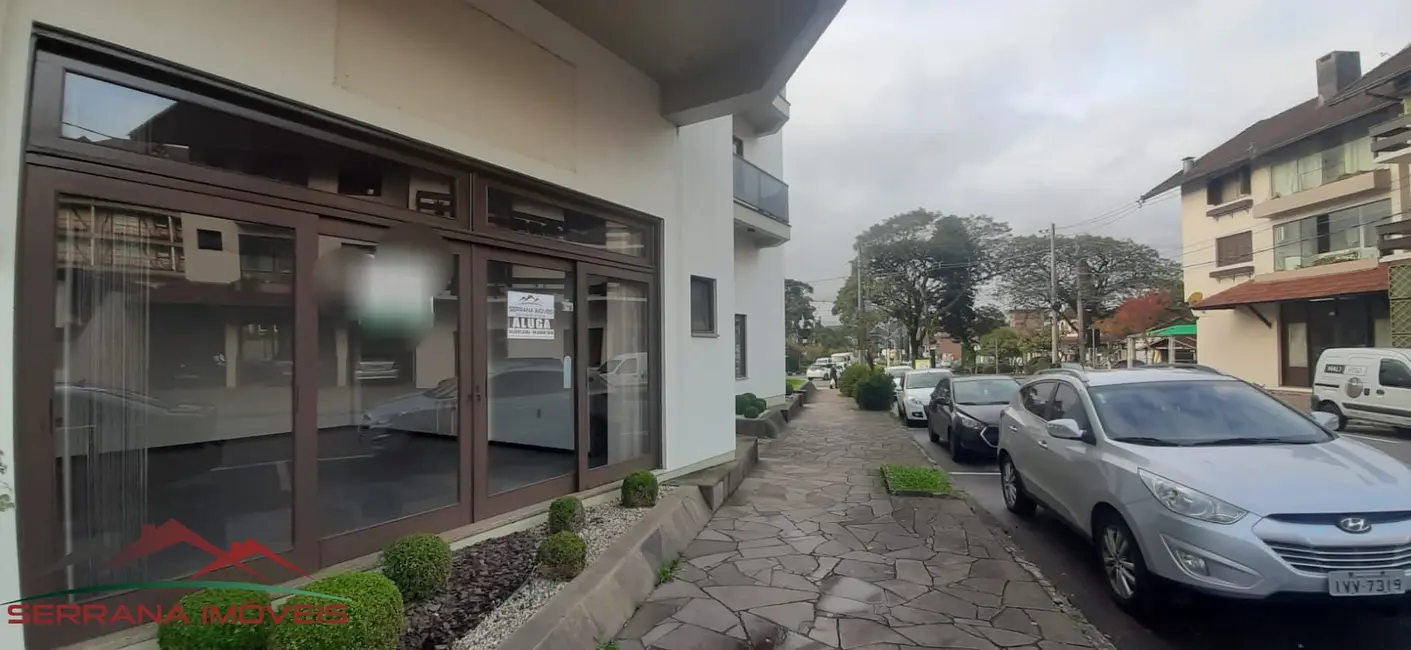 Sala Comercial para alugar, 40m2 em Centro, Nova Petropolis - RS - imagem 9 Foto 9 de Sala Comercial para alugar, 40m2 em Centro, Nova Petropolis - RS