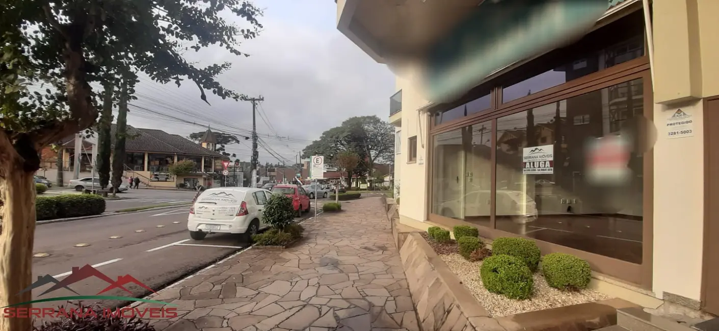 Foto 1 de Sala Comercial para alugar, 40m2 em Centro, Nova Petropolis - RS