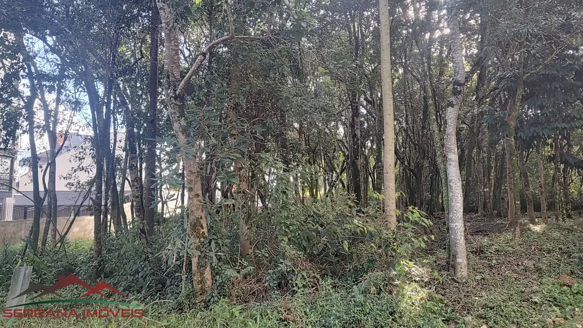 Terreno / Lote à venda, 528m2 em Nova Petropolis - RS - imagem 5 Foto 5 de Terreno / Lote à venda, 528m2 em Nova Petropolis - RS