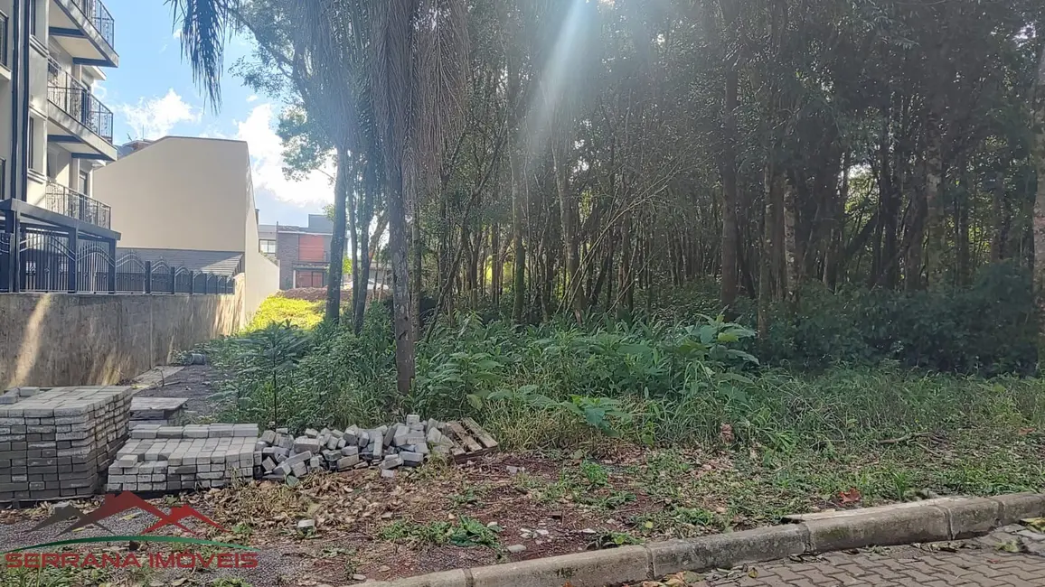 Terreno / Lote à venda, 528m2 em Nova Petropolis - RS - imagem 1 Foto 1 de Terreno / Lote à venda, 528m2 em Nova Petropolis - RS