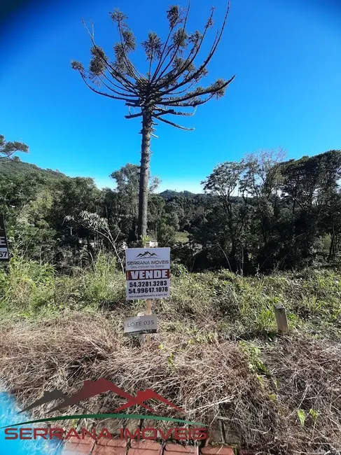 Terreno / Lote à venda, 378m2 em Nova Petropolis - RS - imagem 1 Foto 1 de Terreno / Lote à venda, 378m2 em Nova Petropolis - RS