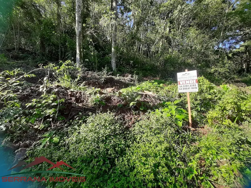 Terreno / Lote à venda, 60000m2 em Nova Petropolis - RS - imagem 1 Foto 1 de Terreno / Lote à venda, 60000m2 em Nova Petropolis - RS