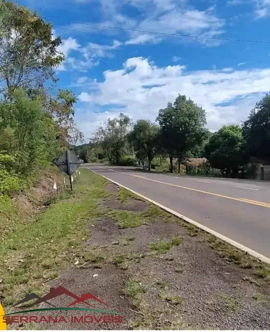 Foto 5 de Terreno / Lote à venda em Nova Petropolis - RS
