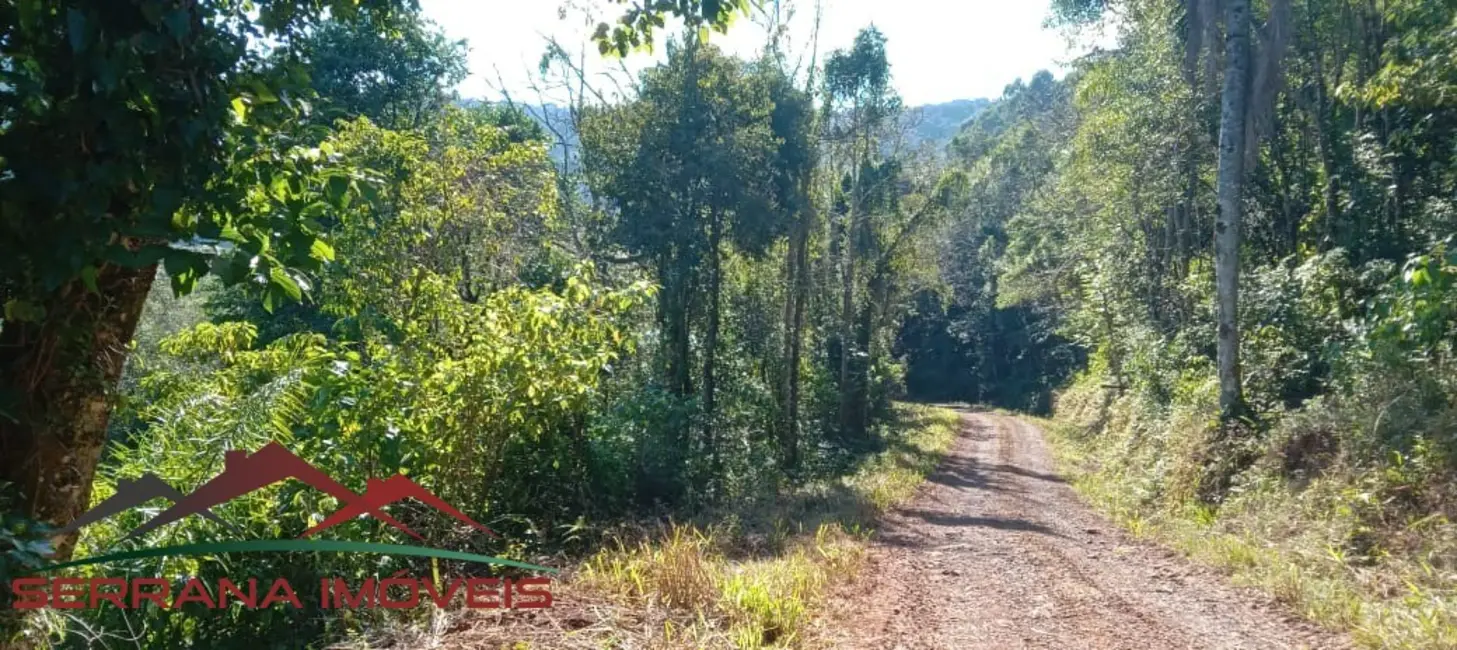 Terreno / Lote à venda, 25000m2 em Nova Petropolis - RS - imagem 6 Foto 6 de Terreno / Lote à venda, 25000m2 em Nova Petropolis - RS