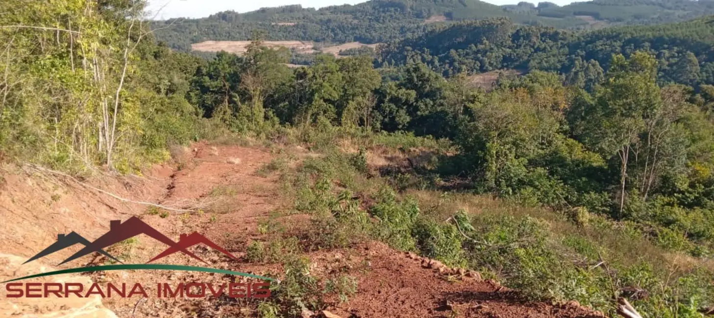 Terreno / Lote à venda, 25000m2 em Nova Petropolis - RS - imagem 8 Foto 8 de Terreno / Lote à venda, 25000m2 em Nova Petropolis - RS