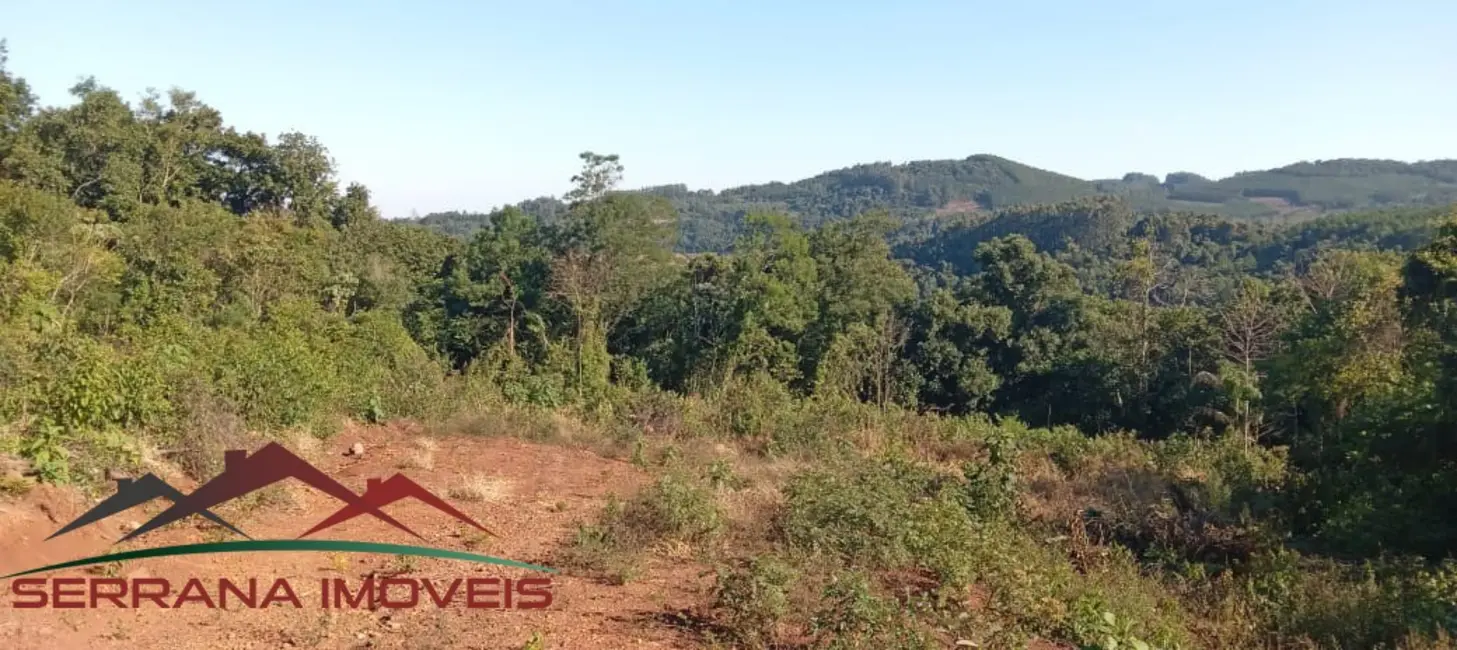 Terreno / Lote à venda, 25000m2 em Nova Petropolis - RS - imagem 9 Foto 9 de Terreno / Lote à venda, 25000m2 em Nova Petropolis - RS
