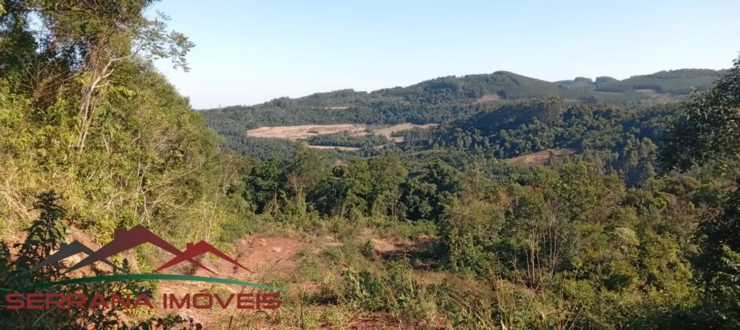 Foto 1 de Terreno / Lote à venda, 25000m2 em Nova Petropolis - RS