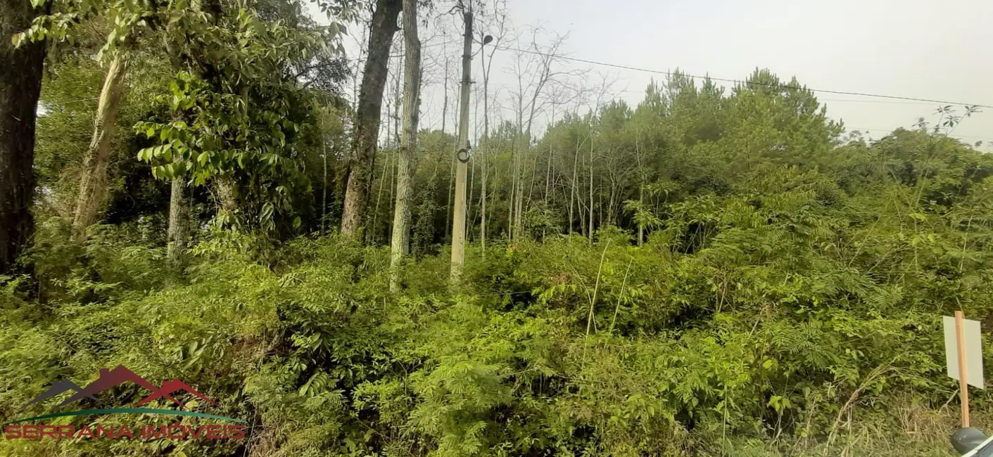 Terreno / Lote à venda, 55000m2 em Nova Petropolis - RS - imagem 5 Foto 5 de Terreno / Lote à venda, 55000m2 em Nova Petropolis - RS