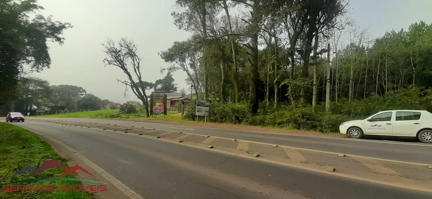 Terreno / Lote à venda, 55000m2 em Nova Petropolis - RS - imagem 6 Foto 6 de Terreno / Lote à venda, 55000m2 em Nova Petropolis - RS