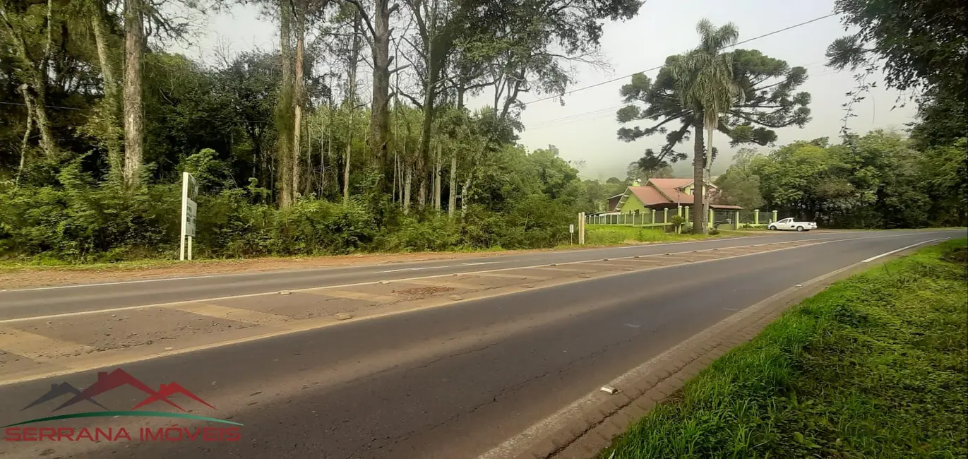 Terreno / Lote à venda, 55000m2 em Nova Petropolis - RS - imagem 9 Foto 9 de Terreno / Lote à venda, 55000m2 em Nova Petropolis - RS
