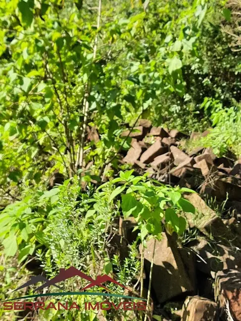 Terreno / Lote à venda, 23548m2 em Nova Petropolis - RS - imagem 7 Foto 7 de Terreno / Lote à venda, 23548m2 em Nova Petropolis - RS