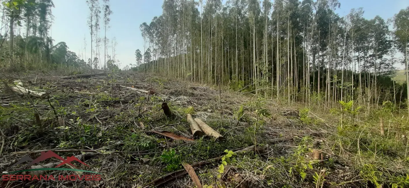 Foto 2 de Terreno / Lote à venda em Nova Petropolis - RS