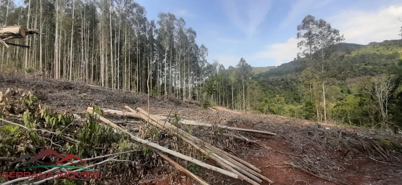 Foto 9 de Terreno / Lote à venda em Nova Petropolis - RS