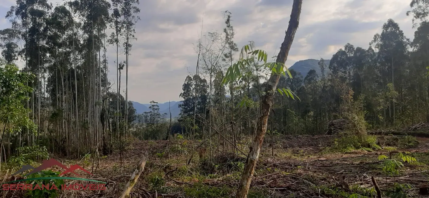 Foto 4 de Terreno / Lote à venda em Nova Petropolis - RS
