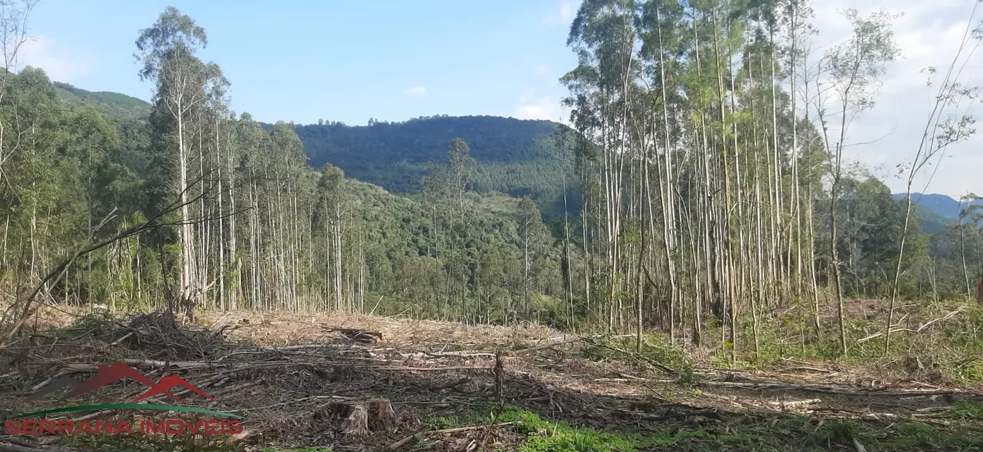 Foto 8 de Terreno / Lote à venda em Nova Petropolis - RS