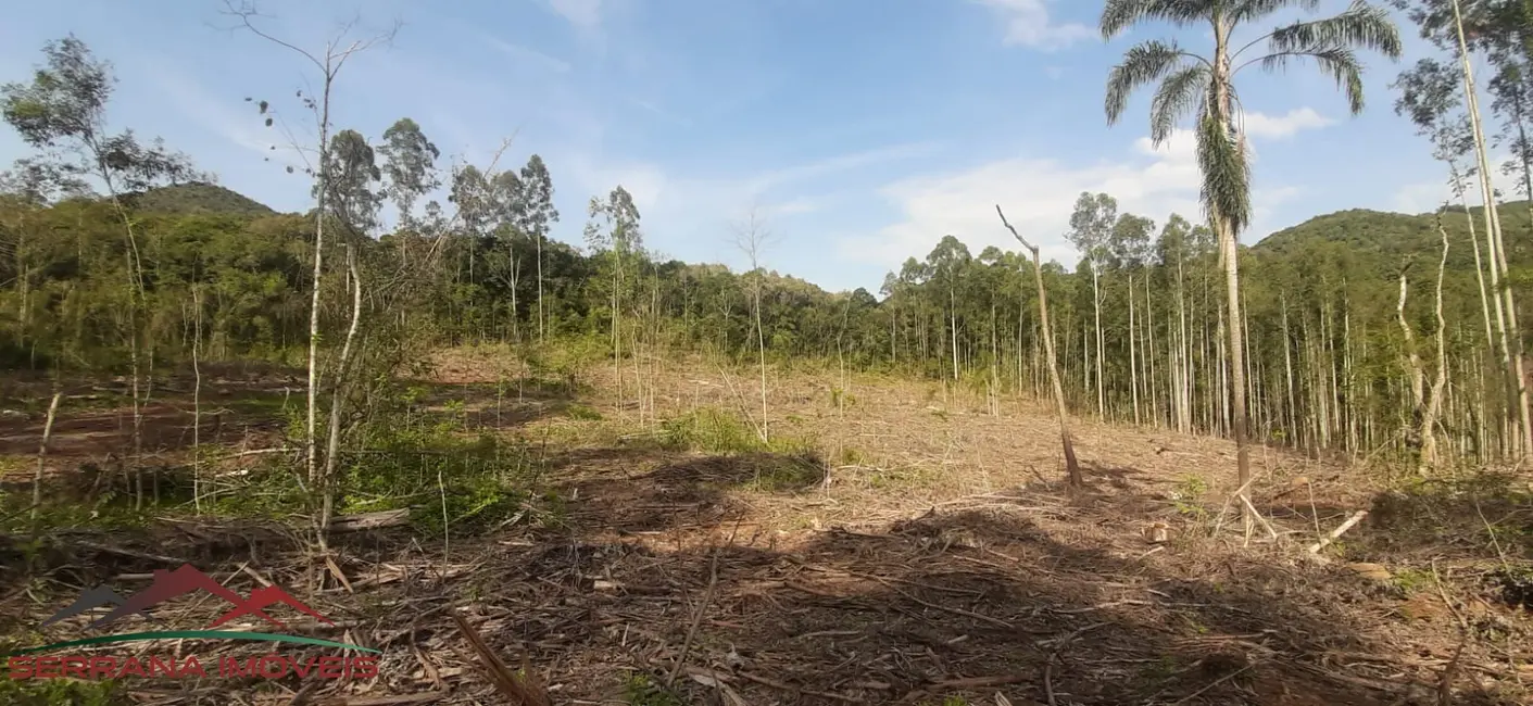 Foto 5 de Terreno / Lote à venda em Nova Petropolis - RS