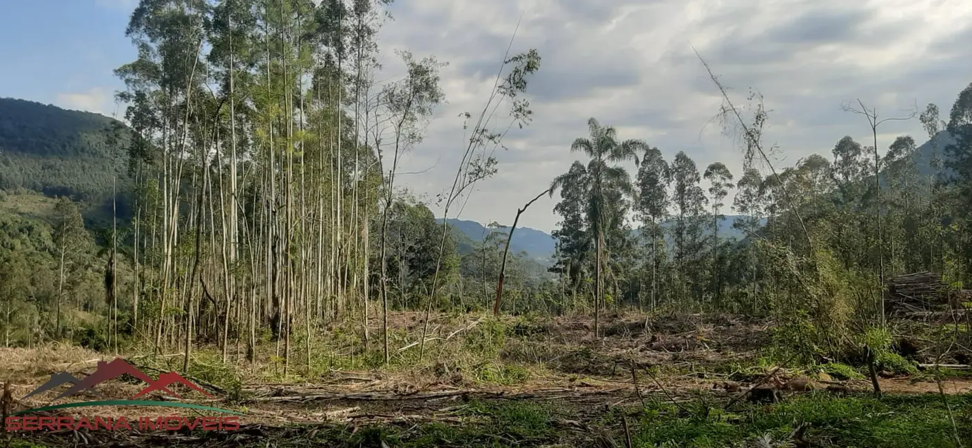 Foto 1 de Terreno / Lote à venda em Nova Petropolis - RS