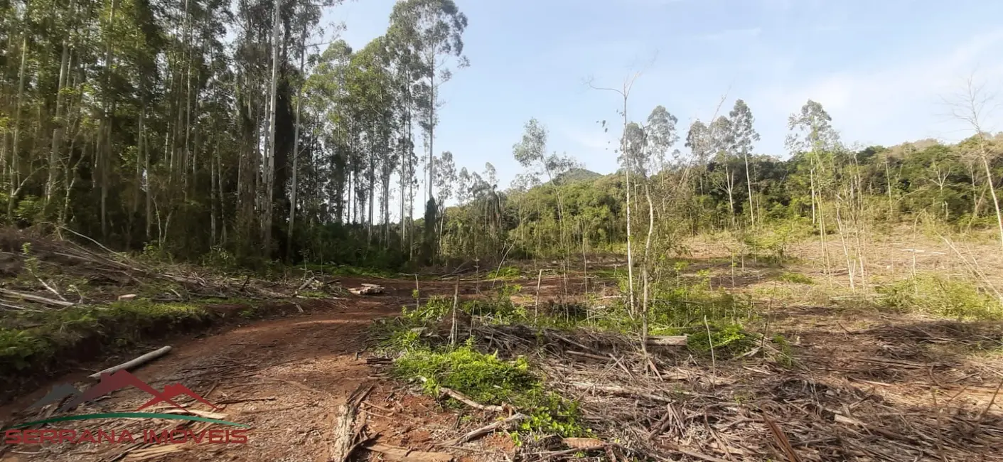 Foto 7 de Terreno / Lote à venda em Nova Petropolis - RS