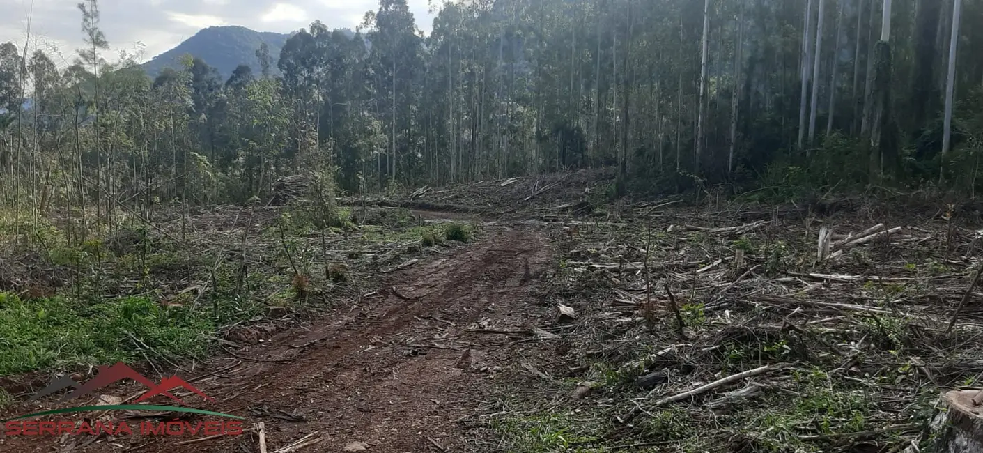 Foto 3 de Terreno / Lote à venda em Nova Petropolis - RS