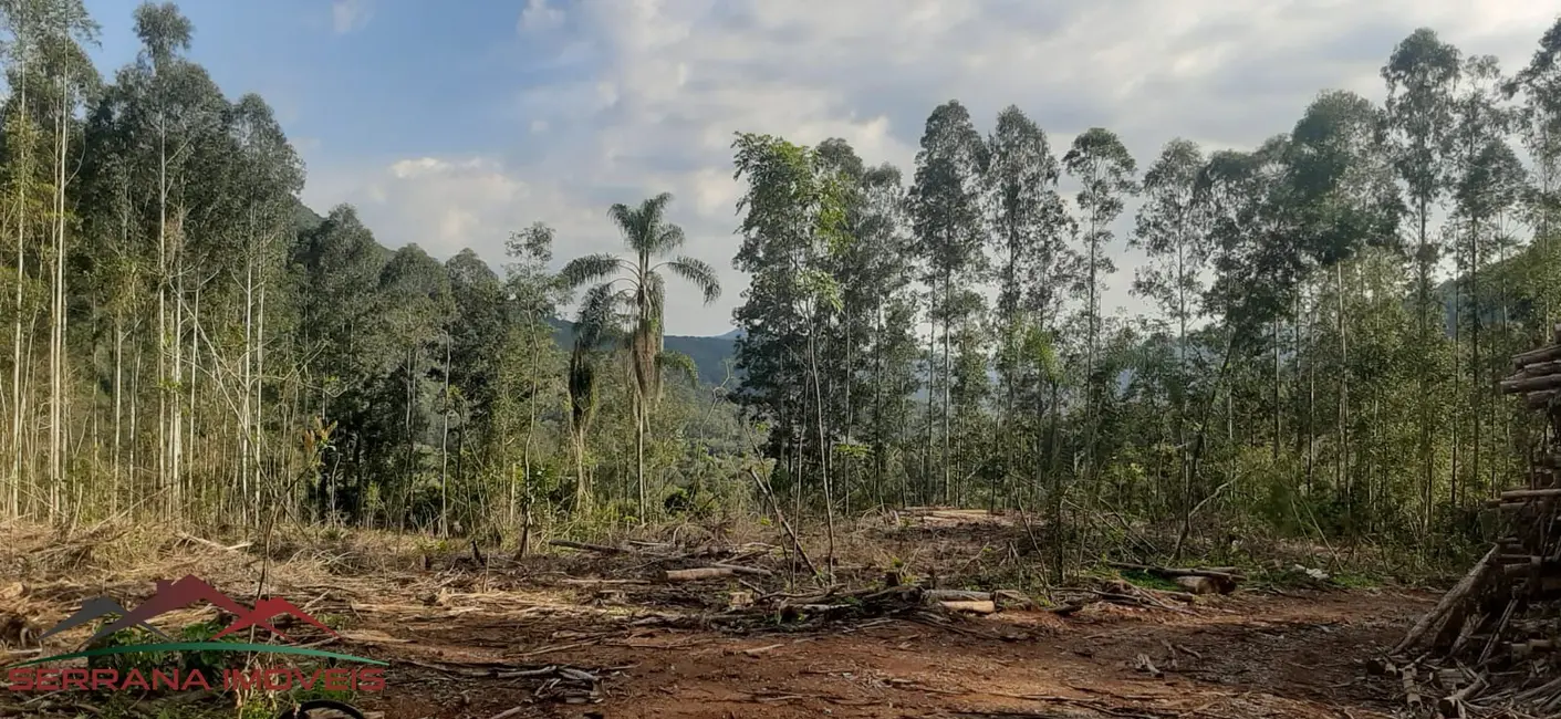 Foto 6 de Terreno / Lote à venda em Nova Petropolis - RS