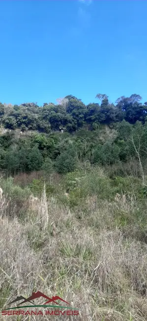 Terreno / Lote à venda, 20000m2 em Nova Petropolis - RS - imagem 2 Foto 2 de Terreno / Lote à venda, 20000m2 em Nova Petropolis - RS
