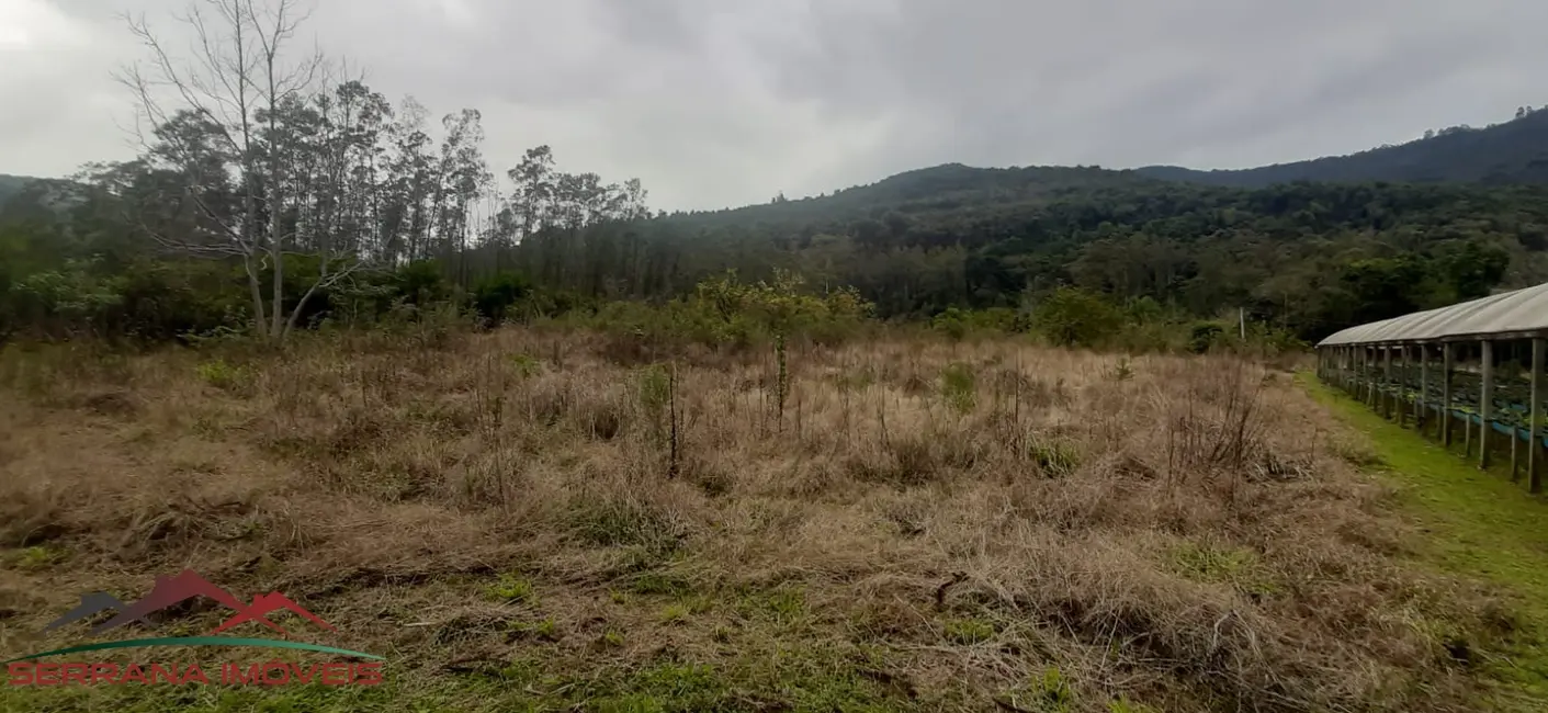Foto 6 de Terreno / Lote à venda, 80m2 em Nova Petropolis - RS