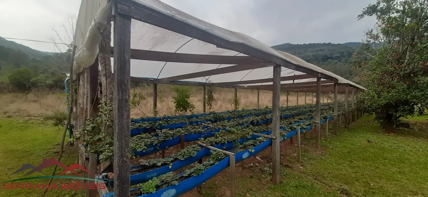 Foto 8 de Terreno / Lote à venda, 80m2 em Nova Petropolis - RS