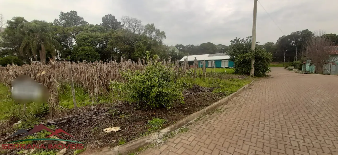 Terreno / Lote à venda, 1247m2 em Nova Petropolis - RS - imagem 7 Foto 7 de Terreno / Lote à venda, 1247m2 em Nova Petropolis - RS