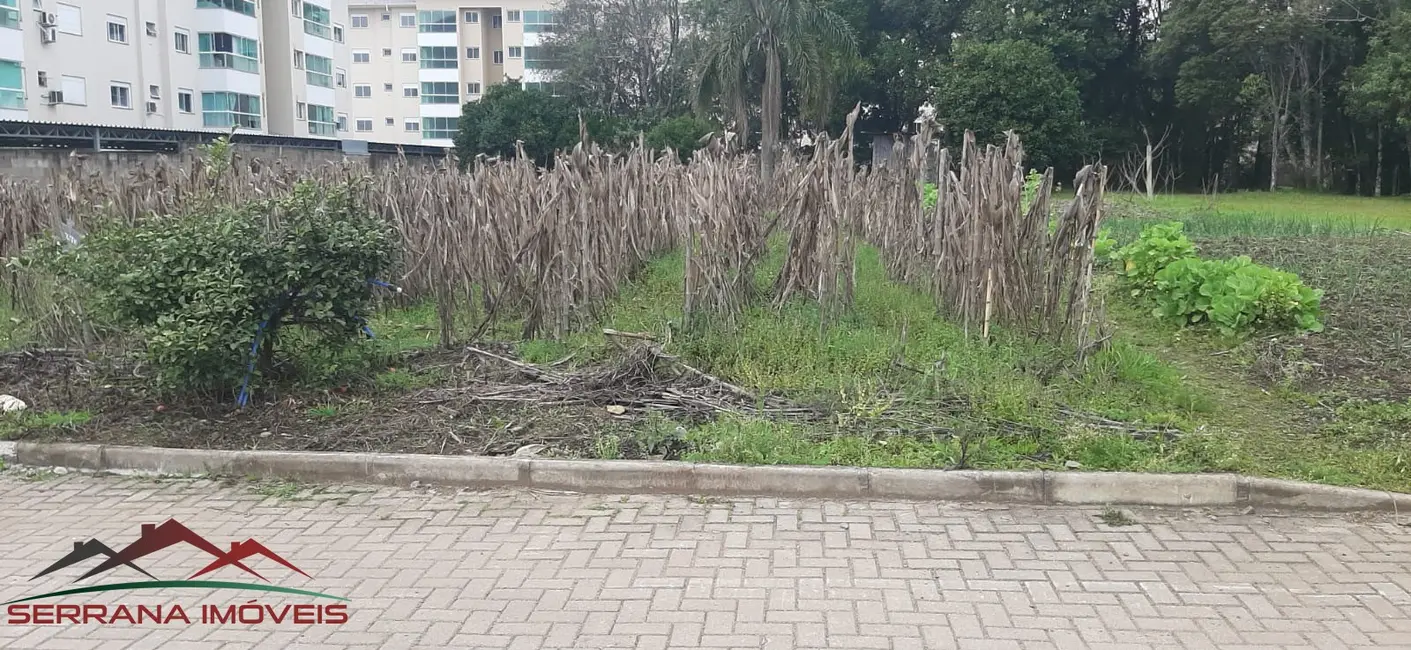 Terreno / Lote à venda, 1247m2 em Nova Petropolis - RS - imagem 1 Foto 1 de Terreno / Lote à venda, 1247m2 em Nova Petropolis - RS