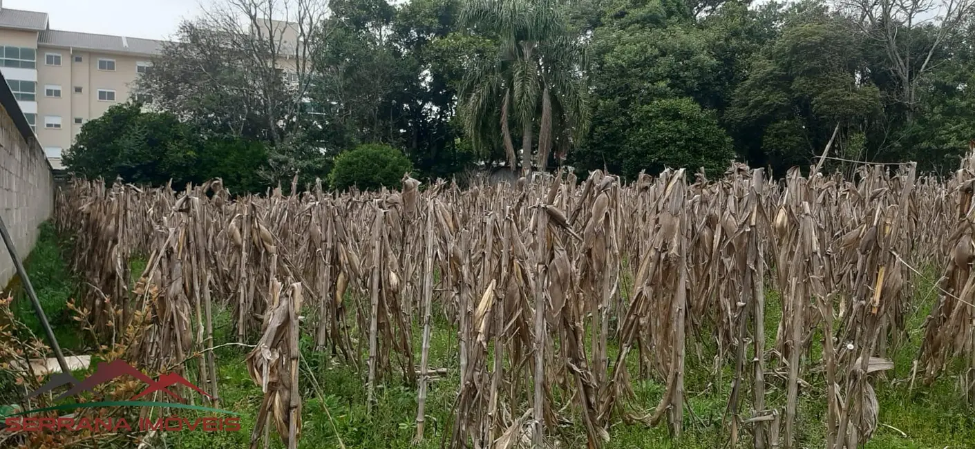 Terreno / Lote à venda, 1247m2 em Nova Petropolis - RS - imagem 8 Foto 8 de Terreno / Lote à venda, 1247m2 em Nova Petropolis - RS