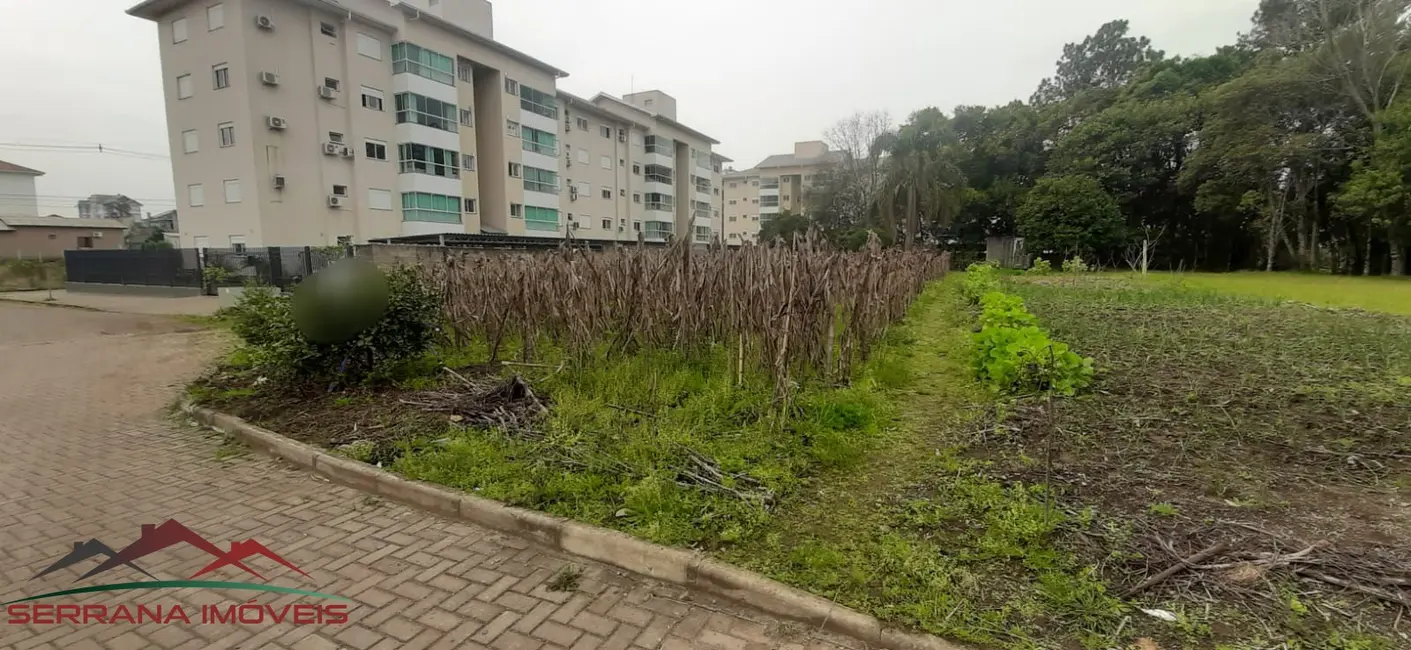 Terreno / Lote à venda, 1247m2 em Nova Petropolis - RS - imagem 6 Foto 6 de Terreno / Lote à venda, 1247m2 em Nova Petropolis - RS