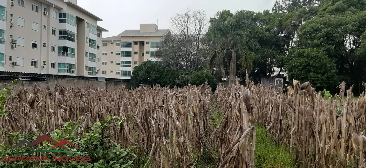 Terreno / Lote à venda, 1247m2 em Nova Petropolis - RS - imagem 9 Foto 9 de Terreno / Lote à venda, 1247m2 em Nova Petropolis - RS