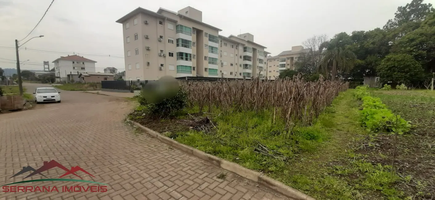 Terreno / Lote à venda, 1247m2 em Nova Petropolis - RS - imagem 2 Foto 2 de Terreno / Lote à venda, 1247m2 em Nova Petropolis - RS