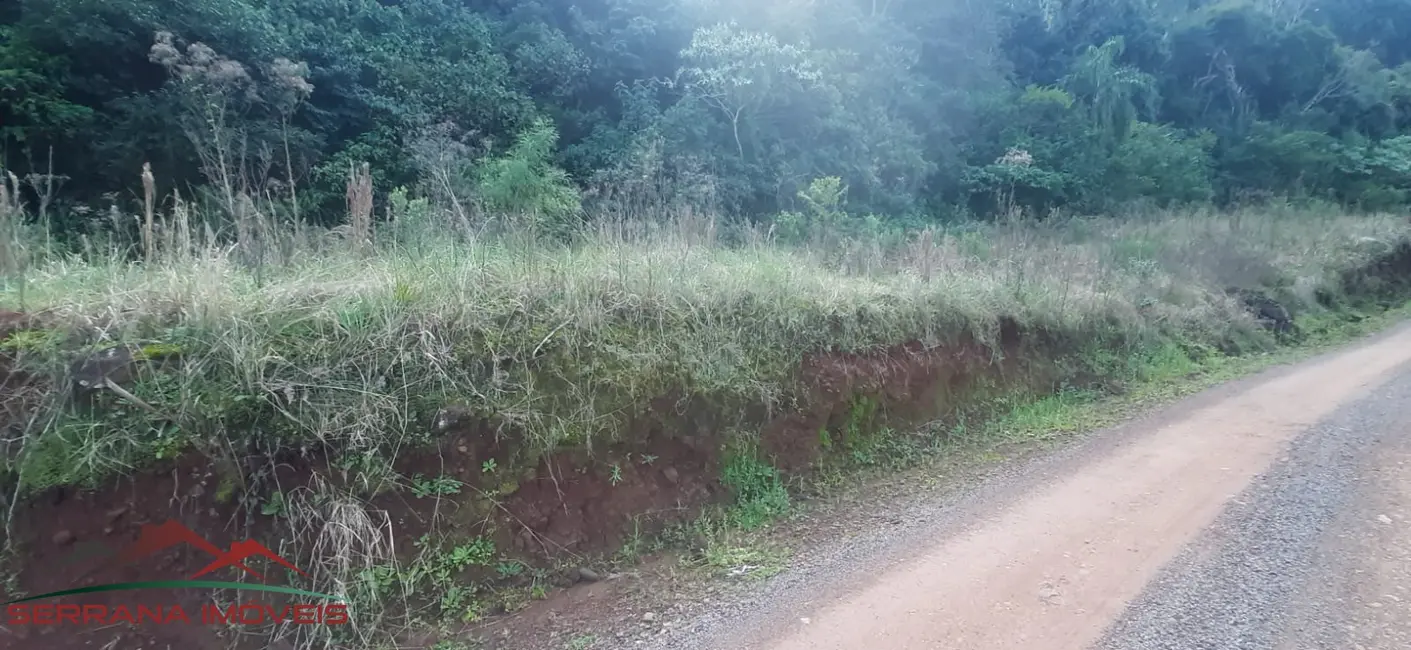 Foto 2 de Terreno / Lote à venda, 55000m2 em Nova Petropolis - RS