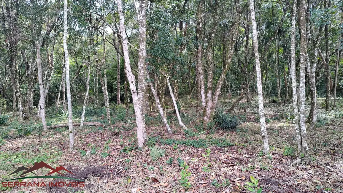Casa com 2 quartos à venda, 180m2 em Nova Petropolis - RS - imagem 2 Foto 2 de Casa com 2 quartos à venda, 180m2 em Nova Petropolis - RS