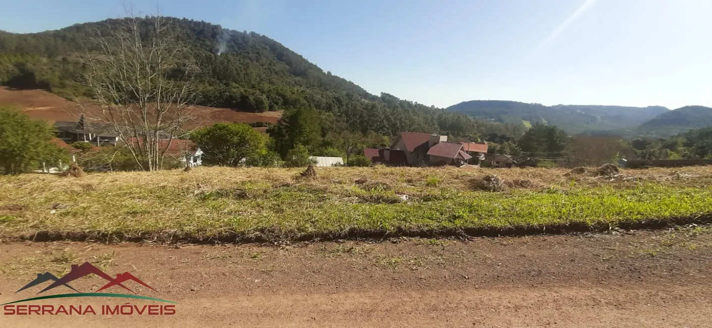 Terreno / Lote à venda, 558m2 em Picada Cafe - RS - imagem 6 Foto 6 de Terreno / Lote à venda, 558m2 em Picada Cafe - RS